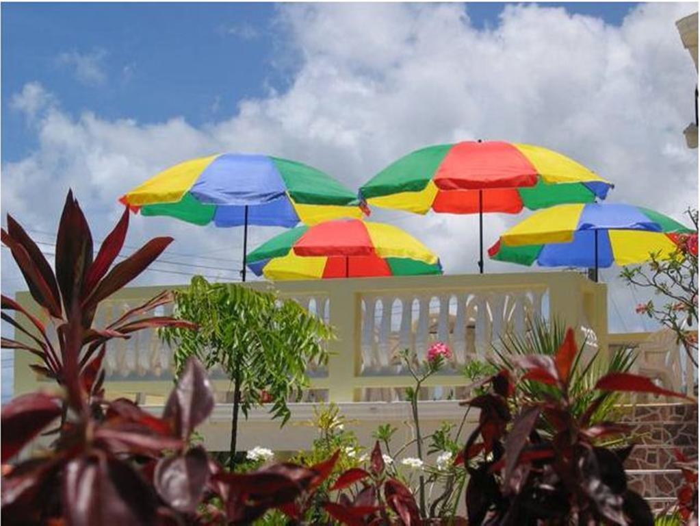 Palm Paradise Guest House And Apartments BARBADOS Exteriér fotografie